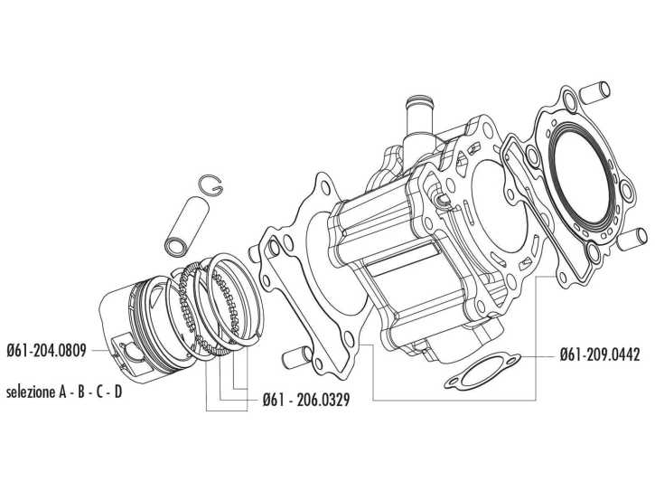 Kolbenring Satz Polini 169ccm 61mm für Honda 150ccm LC