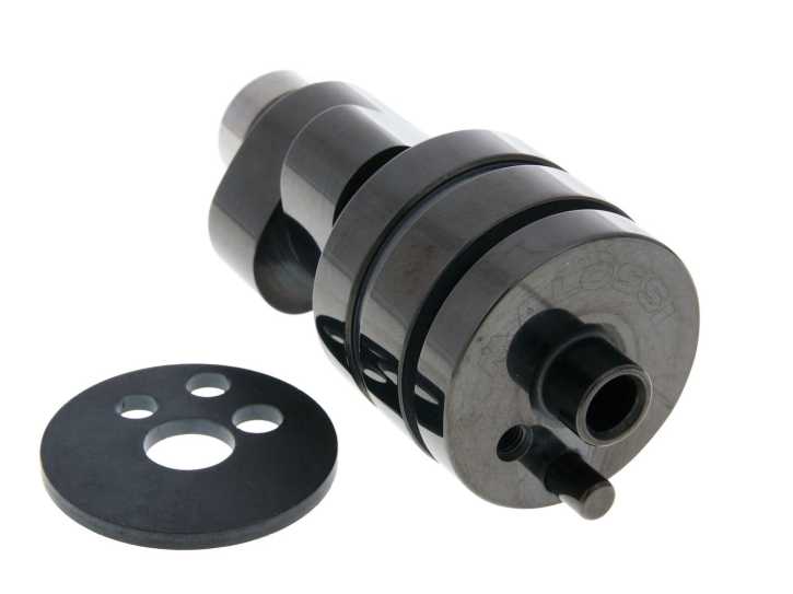 Nockenwelle Malossi Power Cam für Aprilia, Gilera, Malaguti, Piaggio 500ccm