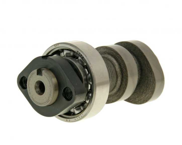 Nockenwelle Malossi Power Cam für Honda SH 300i, NSS 300i