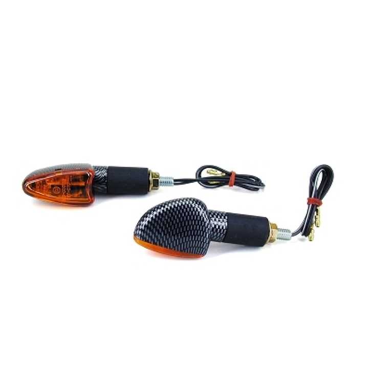 Blinker 12V 21W Demon Style mit CE Carbon